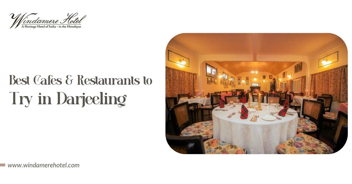 Best Cafes and Restaurants to Try in Darjeeling