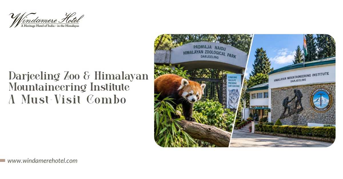 Darjeeling Zoo and Himalayan Mountaineering Institute: A Must-Visit Combo