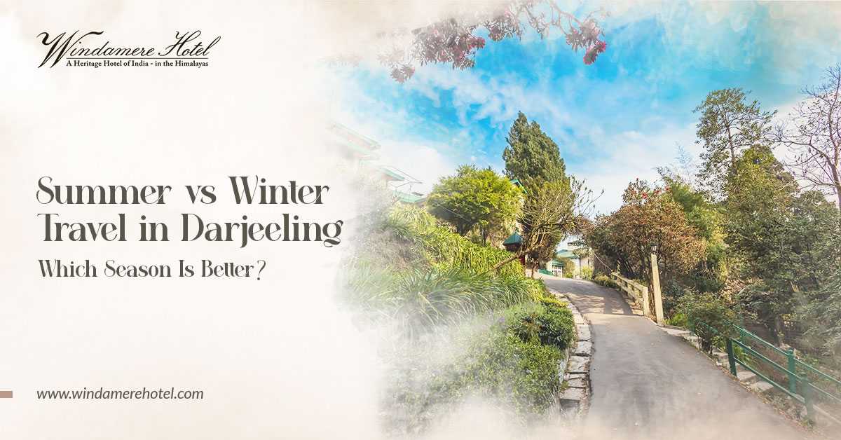 Summer vs Winter Travel in Darjeeling: Which Season Is Better?