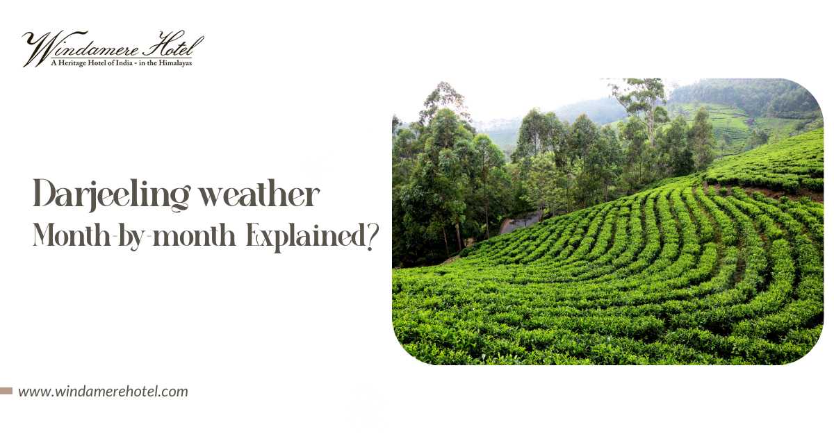 Darjeeling Weather Month-by-Month Explained