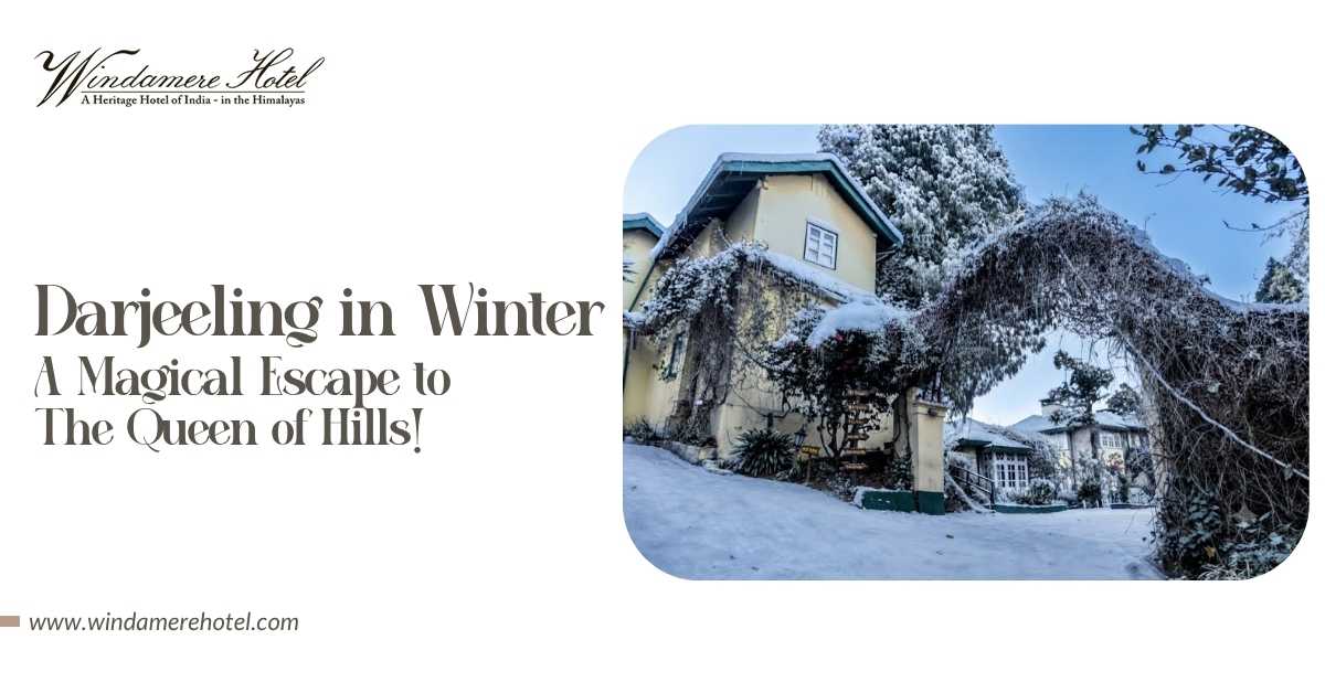 Darjeeling in Winter: A Magical Escape to the Queen of Hills!