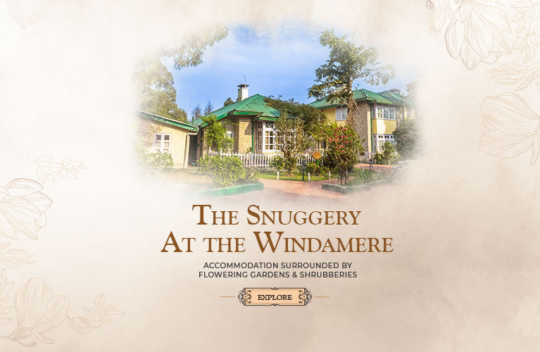 Snuggery at the Windamere