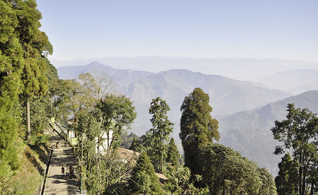 Premium Darjeeling Sightseeing